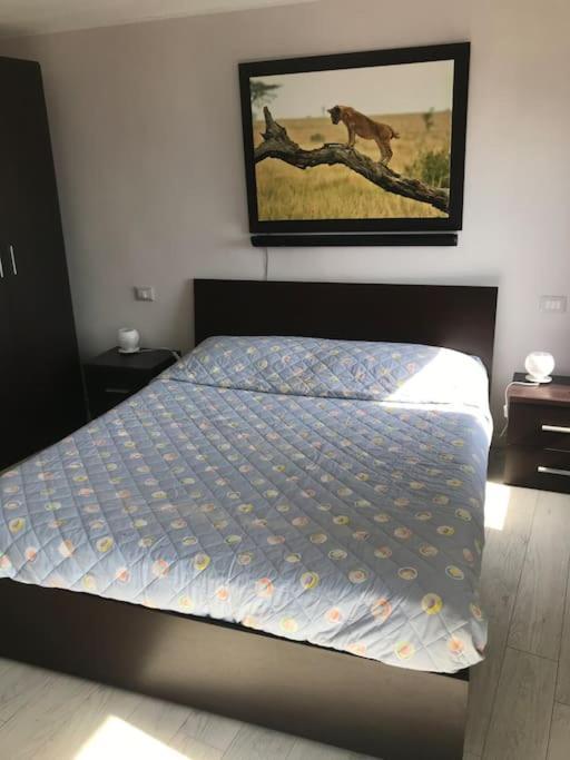 Casa Aurora Villa Baveno Dış mekan fotoğraf
